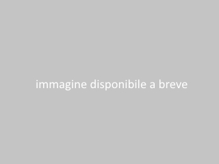 Foto 26