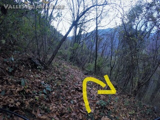 Foto 30