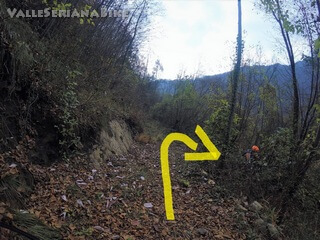 Foto 31