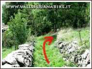 Foto 33