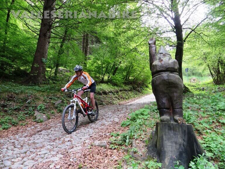 Discesa bosco degli gnomi - valle seriana bike