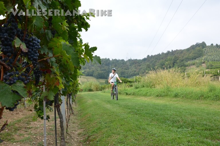 percorso MTB valleserianabike - valle seriana bike