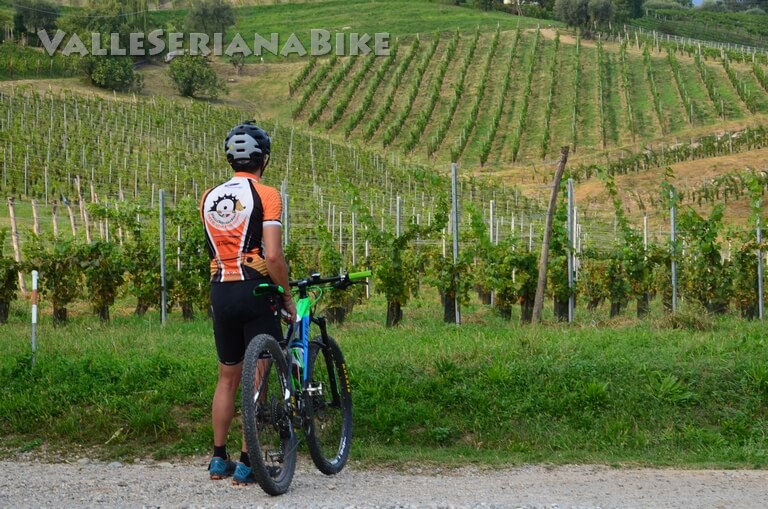 percorso MTB valleserianabike - valle seriana bike