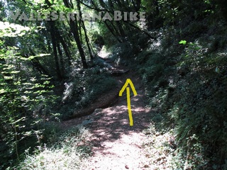 Foto 34