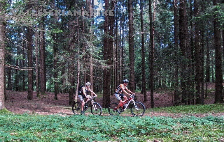 la dolce Pineta del chiosco - valle seriana bike