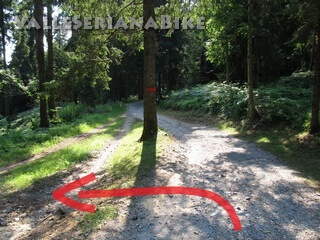 Foto 24
