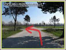 Foto 30