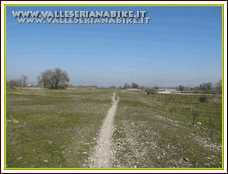 Foto 33