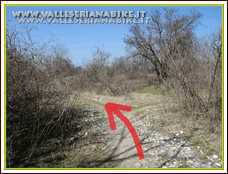 Foto 39