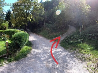 Foto 21