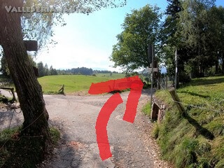 Foto 22