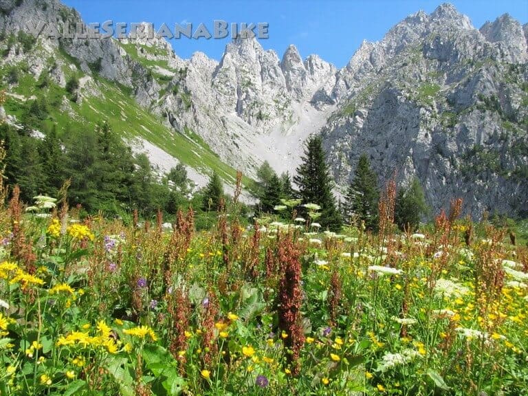 campione - valle seriana bike - valle seriana bike
