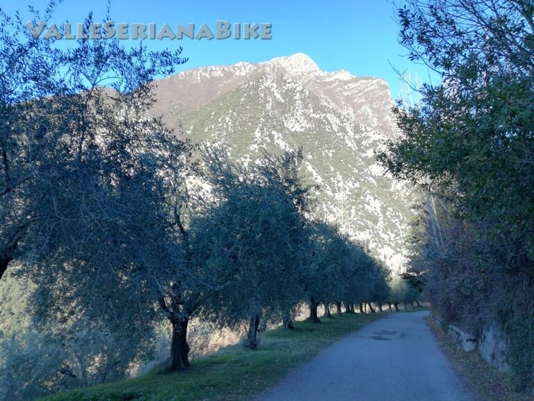 campei - valle seriana bike - valle seriana bike