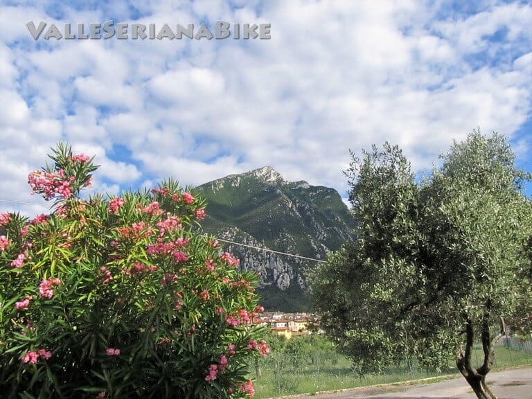 spino - valle seriana bike - valle seriana bike