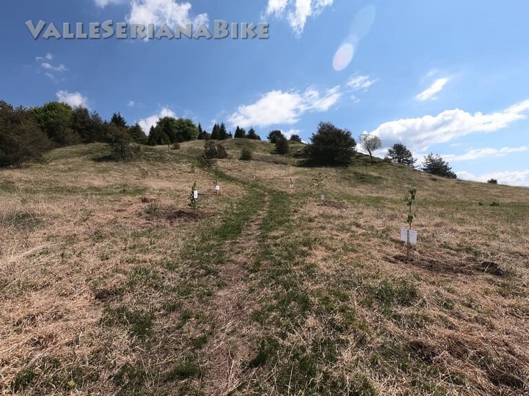 stino - valle seriana bike - valle seriana bike