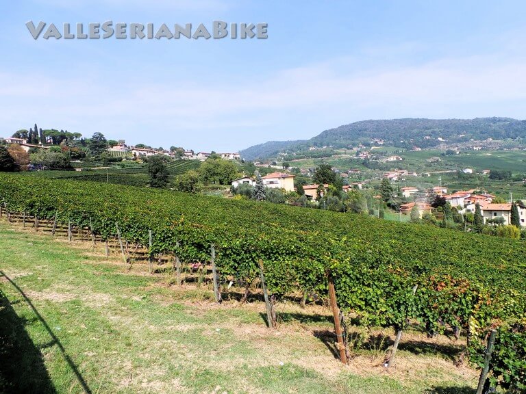 filari - valle seriana bike