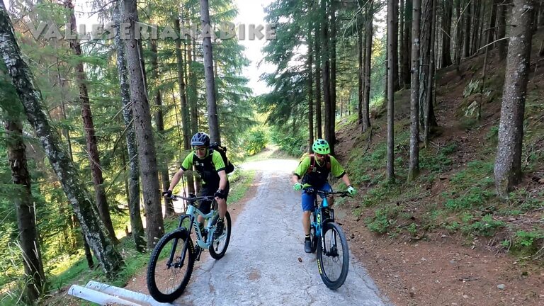 salita nella pineta - valle seriana bike