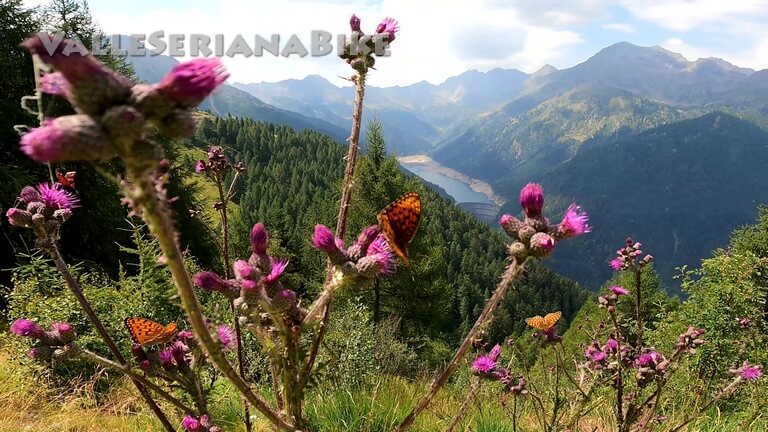 Lago del Belviso - valle seriana bike